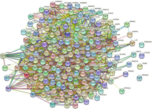 Figure 3 PPI network diagram of 152 core targets from network pharmacology and 15 direct targets from DARTS.
