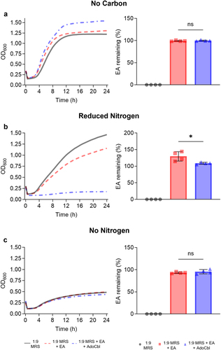 Figure 3. Utilization of ethanolamine as a nitrogen source reduces the growth of L. brevis ATCC 14869.