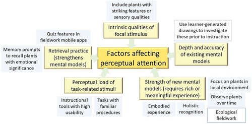 Figure 4. Proposed model for increasing perceptual attention for plants. Elements of theory are shown in yellow and findings from the reviewed studies are shown in pale blue.
