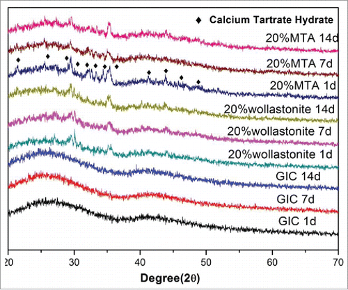 Figure 9. XRD spectra of the cements after hardening for 1 d, 7 d and 14 d in SBF.