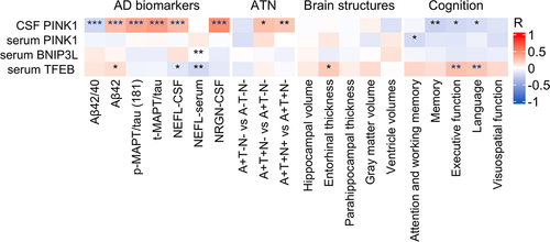 Figure 2. Mitophagy biomarkers vs Alzheimer disease (AD) phenotype. *, ** and *** denote p < 0.05, p < 0.01 and p < 0.001, respectively. Partial Pearson correlation for AD biomarkers, ATN and brain structures was adjusted for age and sex or in the case of cognition, for age, sex, and education. Blue asterisks denote significance after Holm-Bonferroni correction for multiple comparisons. CSF, cerebrospinal fluid; “A”, amyloid; “T”, tau; “N”, neurodegeneration; +, abnormal; -, normal; Aβ42/42, amyloid beta 42 to 40 ratio; Aβ42, amyloid beta 42; p-MAPT/tau (181), phosphorylated MAPT/tau (181); t-MAPT/tau, total MAPT/tau; NEFL, neurofilament light chain; NRGN, neurogranin.