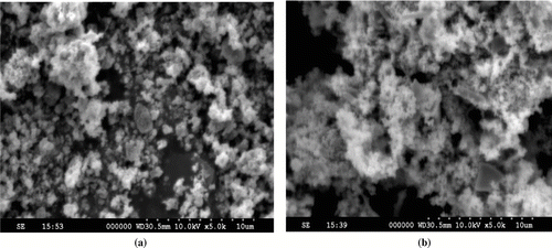 FIGURE 5 SEM images of (a) Cu2O and (b) CuO nanoparticles after calcination at 450°C in nitrogen for 4 h, showing agglomerated particles due to weak inter-intra particle forces.