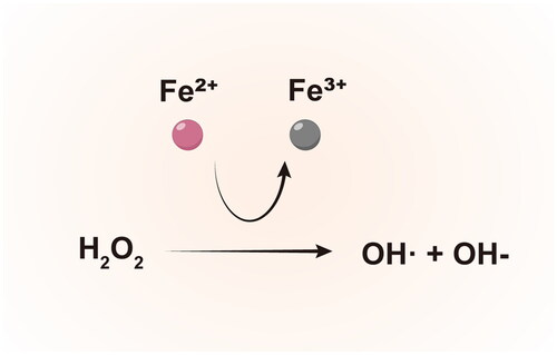 Figure 2. Fenton reaction.