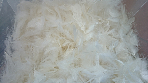 Figure 1. Waste chicken feathers after washing and drying.