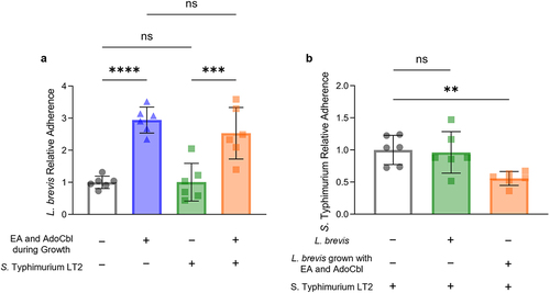 Figure 9. Ethanolamine (EA) enhances the ability of L. brevis ATCC 14869 to competitively exclude Salmonella Typhimurium LT2 from binding human intestinal epithelial cells.