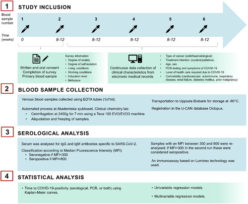 Figure 2. Description of method; study inclusion, collection of blood samples, serological analysis and statistical analysis.
