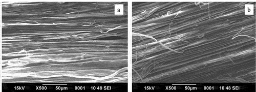 Figure 14. SEM images of conventional method extracted and machine extracted fibre.