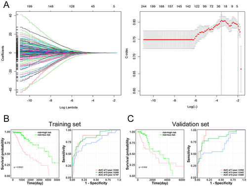 Figure 4 Prognostic evaluation based on selected genes and risk assessment. (A) Prognostic signature derived from three genes (TAGLN2, NTNG2, and IGF2BP2) identified from the intersecting gene set. (B-C) Kaplan-Meier survival curves representing high and low-risk groups from both training and validation sets. The accompanying Receiver Operating Characteristic (ROC) analysis highlights the prognostic accuracy of the model.