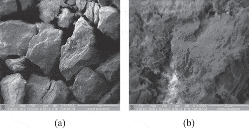 Figure 6. Scanning electron micrographs of the sepiolite specimen at 50x (a) and 2500x (b) magnification.