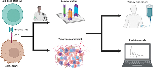 Figure 1. Workflow of engagement for the pathologist in the context of CAR-T therapy for DLBCL. Burgeoning areas of research for pathologists to be engaged include genomic analysis and qualitative assessment of the tumor microenvironment in DLBCL. This will facilitate development of predictive models for those potentially undergoing CAR-T therapy administration as well as improving the efficacy of the modern therapies. Created with BioRender.com.