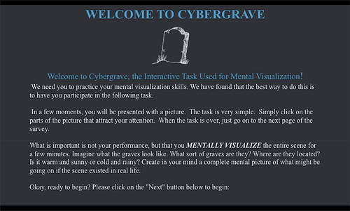 Figure 3. Instructions for Cybergrave.