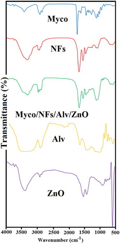Figure 5. Fourier transform infrared spectroscopy (FT–IR) spectra of Mycophenolate mofetil (Myco), Blank NFs, Myco/NFs/Alv/ZnO Gliadin/Ethylcellulose, Alv, and ZnO.