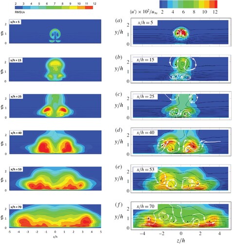 Figure 13. Contours of rms streamwise velocity fluctuations in y-z planes (Left: present ELES, Right: experiment (Ye et al., Citation2016a)).