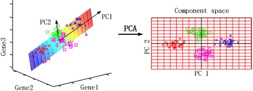 Figure 10. The schematic diagram of Principal Component Analysis (PCA). Note that the image was originally presented in (Fakultat, Citation2006).