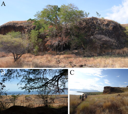 Figure 2. (A) Approaching Makpan Cave; (B) view from inside the cave toward the coast; (C) view westward along the coastline from Makpan.