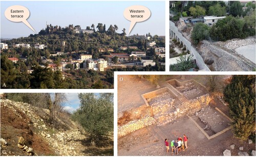Figure 2. A. View of the site looking south, showing the flat nature of the summit. B. The massive terrace in the west, looking northeast (the cement wall was built in the 1980s). C. The massive terraces in the east, looking northwest. D. The massive retaining wal.