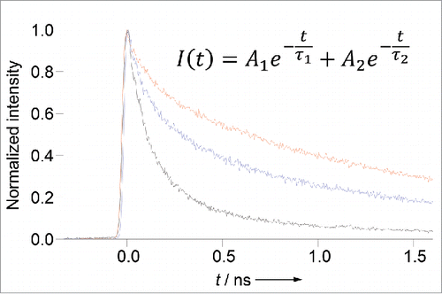 Figure 13. Fluorescence decay curves of the Quasar 570 dye-bound PNA2-NLS conjugate (excitation, 395 nm; photon counting, from 550 nm to 620 nm). Bottom, Dye-PNA2-NLS alone; top, Dye-PNA2-NLS + the plasmid. The values of τ1 (s), τ2 (s), A1, and A2, obtained by fitting the curves, are (0.14, 0.91, 0.82, 0.18) and (0.18, 1.72, 0.27, 0.73), respectively. For the purpose of comparison, the result for the 16-mer complementary oligonucleotide is shown by the middle curve. Measurement conditions are [Dye-PNA2-NLS] = 500 nM and [DNA] = 0 or 1000 nM at pH 7.0. Reproduced by permission from ref. 60.