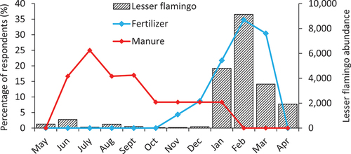 Figure 5. Plot showing monthly lesser flamingo trends (Source: Author) and percentage of interviewed local people (%) applying animal manure (natural fertilizer) and chemical fertilizer between May 2020 and April 2021 in the community bordering the Momella lakes, northern Tanzania.