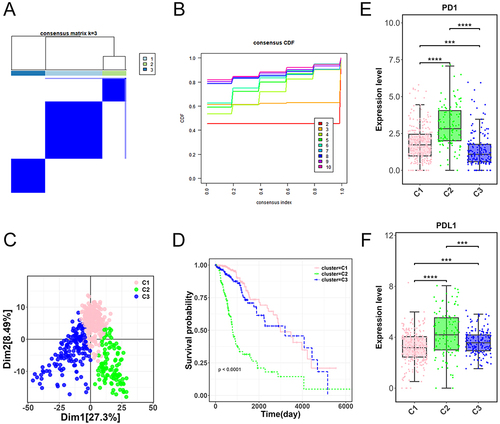 Figure 2 Molecular subtyping and analysis of glioma samples. (A) Three distinct molecular subtypes (C1, C2, and C3) derived from the TCGA-glioma dataset. (B) Cumulative distribution function (CDF) displaying the optimal clustering stability at k = 3. (C) Principal component analysis (PCA) demonstrating significant differentiation among the C1, C2, and C3 glioma molecular subtypes. (D) Prognostic characteristics of C1, C2, and C3 molecular subtypes. (E-F) Expression levels of immune checkpoint genes PD1 and PDL1 across the three molecular subtypes. ***p < 0.001, ****p < 0.0001.