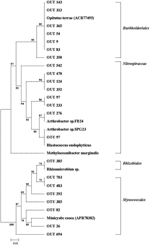 Figure 7. Maximum-likelihood tree of top 50 most abundant partial ureC OTUs.