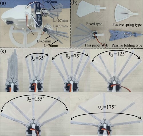 Figure 16. Testing experimental platform: (a) test prototype of the effect of flippers on the swimming performance of a frog-like swimming robot; (b) different flipper structures inspired by the swimming flippers of a frog; and (c) different angles of the spreading of the frog-like flippers.
