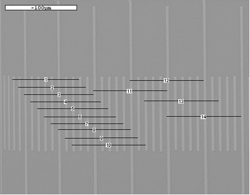 Figure 3. Measurements on images acquired at scan speed Kalman. Using the embedded scale marker bar of 100 microns, measurements of 0.1 mm on the micrometre deviate by plus 0.6–3.2% to minus 0.3–8% across the SEM image acquired at scan speed Kalman at 500× magnification. The exact measurements are listed in Table 4.