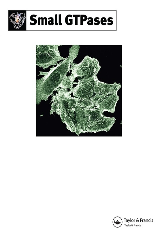 Cover image for Small GTPases, Volume 14, Issue 1, 2023