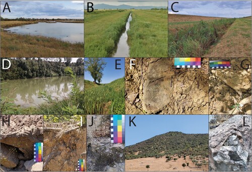 Figure 4. Location of the geological samples taken to produce comparative thin sections. A: Brackish wetland of Diaccia Botrona; B: River Bruna; C: River Sovata; D: River Ombrone; E: Tributary of stream Rigo; F: Sandstone from Formation 3; G: Clay from Formation 3; H: Sandstone from Formation 31; I: Clay from Formation 31; J: Claystone from Formation 27; K: Hill of Poggio Moscona containing flint nodules (Formation 33); L: Flint nodules from Poggio Paganella (Formation 33).