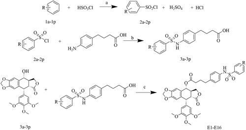 Scheme 1. Synthesis of podophyllotoxin derivatives E1-E16. Reagents and reaction conditions: (a) room temperature; (b) (1) H2O, saturated Na2CO3, pH 8-9, room temperature, 2 h; (2) 1 M HCl, pH 1-2; (c) DCC, DMAP, CH2Cl2, 0 °C, 8 h.