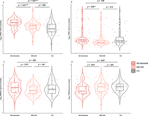 Figure 1. Changes in mitophagy biomarkers across AD continuum. Violin plots of ANCOVA analyzes (A–D) levels of mitophagy markers PINK1, BNIP3L, and TFEB in biomarker-defined individuals. (A) CSF PINK1 showed higher levels in AD dementia compared to MCI-AD and CU groups. (B) Serum PINK1 showed higher levels in AD dementia compared to MCI-AD group. (C) Serum BNIP3L showed higher levels in AD dementia compared to MCI-AD group. (D) Serum TFEB showed lower levels in AD dementia compared to MCI-AD and CU groups. Notes: Data were adjusted for sex and age. *** = p < .001, ** = p < .01, * = p < .05. Abbreviations: AD, Alzheimer disease; MCI, mild cognitive impairment; CSF, cerebrospinal fluid; CU, cognitively unimpaired.