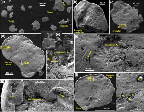 Figure 7. SEM backscatter images of beach gold panned from a heavy mineral concentrate near moraines at Lake Mahinapua (Figure 1C; Figure 3A,C; Figure 5C,D). A, General view of gold shapes. B, Rounded particle with remnants of crystalline forms. C,D, Smoothed flakes. E–H,. Close views of flake surfaces with vermiform gold in depressions. I, J, Smooth flake with embedded silicate clasts (S), partially covered with smeared surface gold.