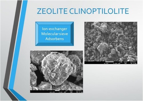 Figure 5. Electron micrographs of zeolite particles that can serve as ion exchangers, molecular sieves as well as an adsorbent. Images were obtained by SEM Jeol JSM-7800F.