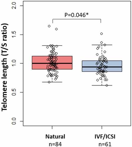 Figure 2. Box-and-whisker plot demonstrating the distribution of telomere length (TS ratio) in the natural conceived group compared with the IVF/ICSI group. Boxplots present median, 10th, 25th, 75th, and 90th percentile. Telomere length was compared by Mann-Whitney U test. *Significance at p < 0.05.