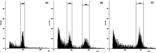 Figure 1. Flow cytometry analysis of preselected plants from oryzalin treatment compared to the untreated control: (A) a diploid clone of KSP in the untreated control produced a peak at 198.48 with a coefficient of variation (CV) of 4.97%, (B) a mixoploid of MK61 produced two peaks at 181.35 and 369.10 with CVs of 7.78% and 5.31%, respectively, and (C) a tetraploid of clone MK17 peaked at channel 391.79 with a CV of 5.15% (CV).