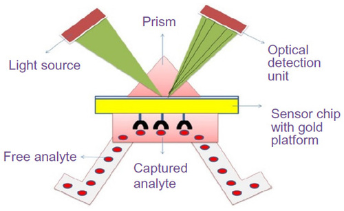 Figure 7 Surface plasmon resonance-based optical biosensor.
