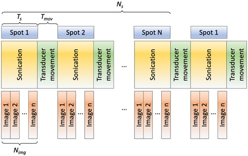 Figure 2. Illustration of the sequential sonication process for multiple heating spots. A series of MR images (Nimg) is acquired during sonication, with the number of Nimg contingent on the sonication duration (Ts). Notably, a time delay arises between the sonication of each spot due to the transducer movement time (Tmov).