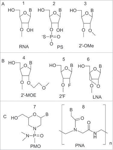 Figure 6. Structure of nucleic acid variants used in miRNA targeting. (A) Phosphorothioate backbone, 2′-OMe (ribose modified) (B) Ribose variants: 2′-MOE, 2′F, LNA (C) Non-ribose backbones: PMO and PNA.