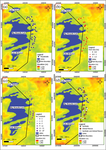 Figure 3. Map showing (a) the location of the households surveyed (b) farm size owned (c) number of livestock owned and (d) the use of fertilizers by each household in Miririny village as based on our interview outcomes, between February and March 2021, on the eastern side of the Momella lakes, Tanzania.