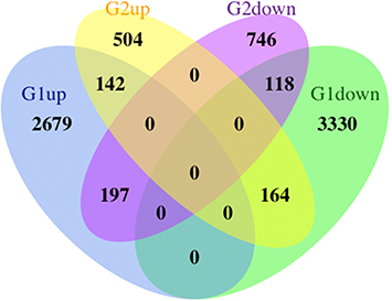 Figure 2 Venn diagram showing the overlapping DEGs between GSE126773 and GSE38038.