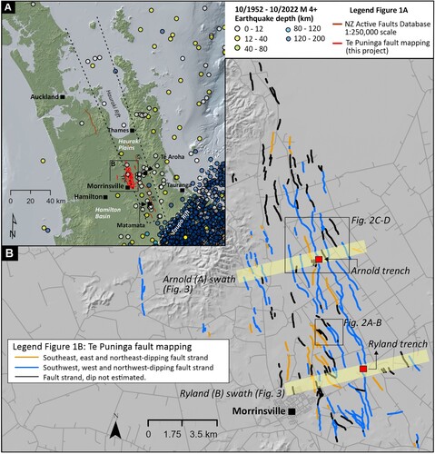 Figure 1. Tectonic setting of the Te Puninga Fault. A, The Hauraki Rift (dashed rectangular zone), regional active faults (red lines, from the New Zealand Active Faults Database; KF, Kerepehi Fault; TPF, Te Puninga Fault), and recent seismicity (MW >4 earthquakes from 1952 to 2022, from Geonet, https://quakesearch.geonet.org.nz/). B, Detailed map of the Te Puninga Fault (blue, orange and black lines), showing the locations of the two trenches investigated in this project, Ryland and Arnold, and the two swathes where slip rate was calculated (yellow bands).
