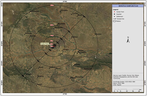 Figure 1. Sampling map of soils and plants within the vicinity of the Morupule fly ash dumpsite.