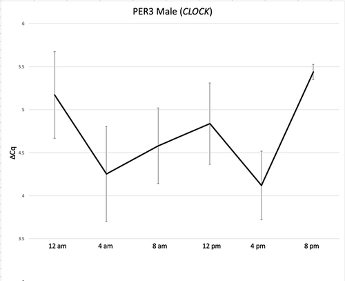 Figure 4 24-hour expression of PER3 (normalized to CLOCK) in blood stains collected from males every 4 hours for 24 hours. Standard error bars indicate the variance in normalized ΔCq values at sample collection times during a 24-hour period. The higher variance of PER3 ΔCq values in males obscures any abundance pattern.