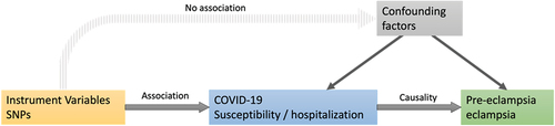 Figure 1. Mendelian randomization assumptions. We selected SNPs associated with COVID-19 and estimated the corresponding effects of these SNPs based on the risk of pre-eclampsia/eclampsia obtained from European populations.