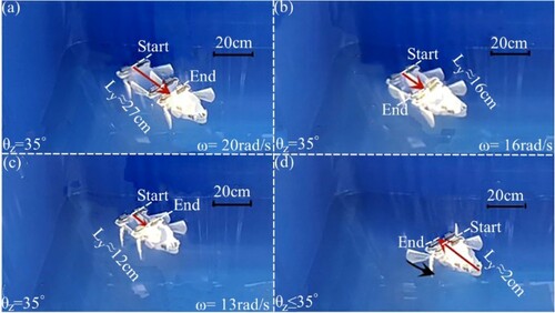 Figure A9. Experimental tests of swimming in water for a robot based on passive spring type flippers: (a) angular velocity (ω) of flipper swinging is 20 rad/s for both sides; (b) angular velocity (ω) of flipper swinging is 16 rad/s for both sides; (c) angular velocity (ω) of flipper swinging is 13 rad/s for both sides; and (d) backward swimming test is generated during the recovery phase. (Ly in figure (a-c) represents the distance the robot swam forward; Ly in Figures (d) represents the distance the robot swims backwards).