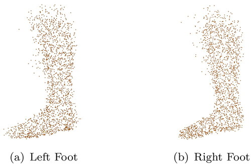 Figure 6. Baseline feet created from all feet of the training dataset.