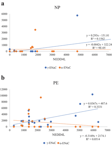 Figure 2. Regression analyses of NEDD4L with detectable α-ENaC and γ-ENaC in normotensive pregnant controls (NP) and pre-eclamptic patients (PE). (a) In the normotensive pregnant group, there were no significant correlations between NEDD4L and α-ENaC (p = 0.97), as well as NEDD4L and γ-ENaC (p = 0.12). (b) In the pre-eclampsia group, there was a significant correlation between Nedd4-2 and γ-ENaC (p = 0.01) but not with NEDD4L and α-ENaC (p = 0.35). Patients without detectable ENaC were not included in the regression analysis.
