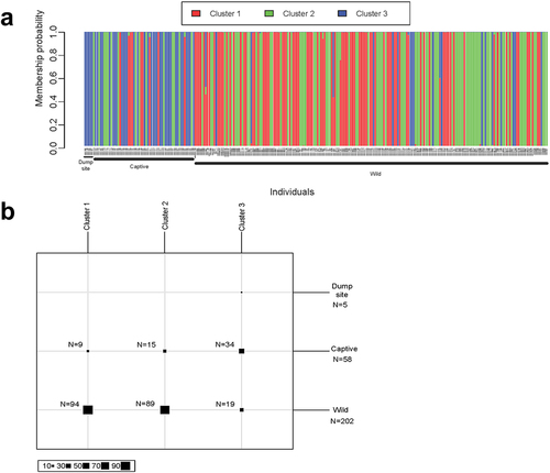 Figure 4. Discriminant Analysis of Principal Components (DAPC) results. (a) Barplot displaying each individual’s membership to three inferred population clusters. (b) Number of individuals assigned to each cluster.