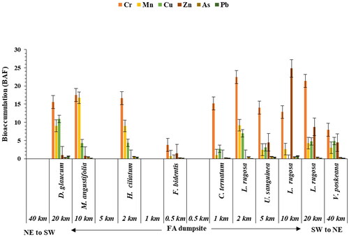 Figure 7. Bioaccumulation factor of heavy metals in the dominating herb species growing within 40 km distance of the fly ash dumpsite (n = 11; mean ± standard deviation).