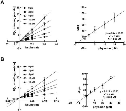 Figure 3. The inhibition of CYP2C9 (A) and 2D6 (B) by physcion was best fitted with the competitive inhibition model by Lineweaver–Burk plot in the presence of 0, 2, 5, 10 and 15 μM physcion and the Ki values were 3.69 and 8.66 μM, respectively.