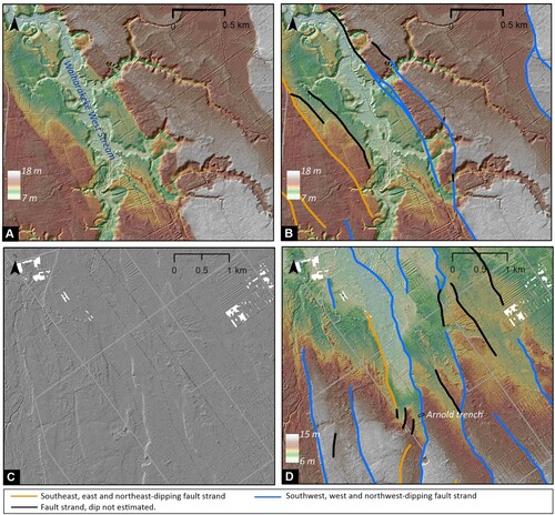 Figure 2. Views of the different geomorphic characteristics of the Te Puninga Fault. A, Area of the Te Puninga Fault around the Waiharakeke West Stream that illustrates the interplay between fault scarps and fluvial terrace risers in locations where the fluvial drainage is parallel with the fault strike. B, Fault mapping interpretation for panel A. C, Area of the Te Puninga Fault in generally very flat topography where the fault scarps are very subtle in the LiDAR hillshade model. D, Fault mapping interpretation of panel C, showing how overlaying a dynamic-range-adjusted digital elevation model over the hillshade model enhances the fault scarps in this area of low topography. The pale-grey lines depict roads.